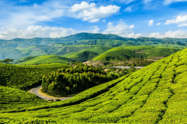 Munnar
