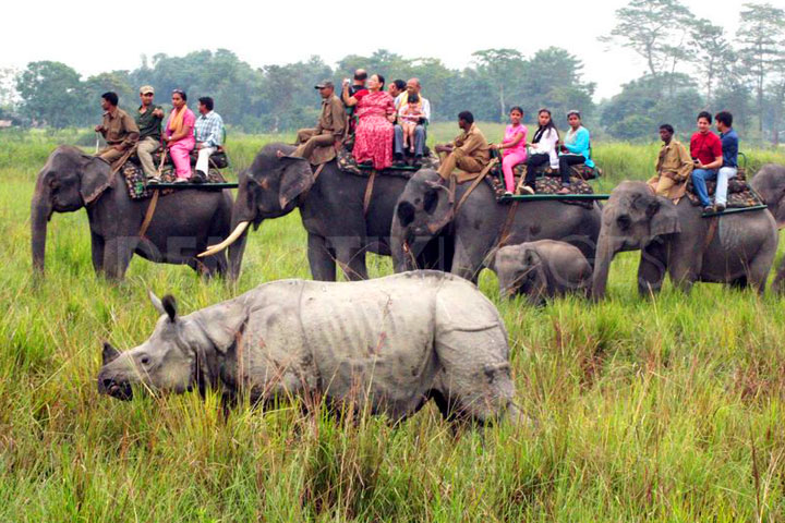 KAZIRANGA NATIONAL PARK